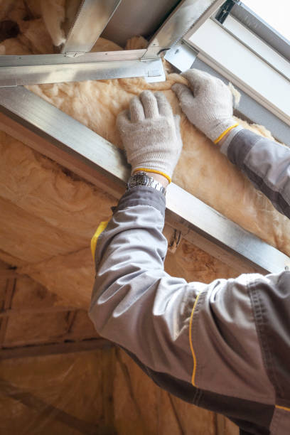 Insulation Repair Services in Fern Acres, HI